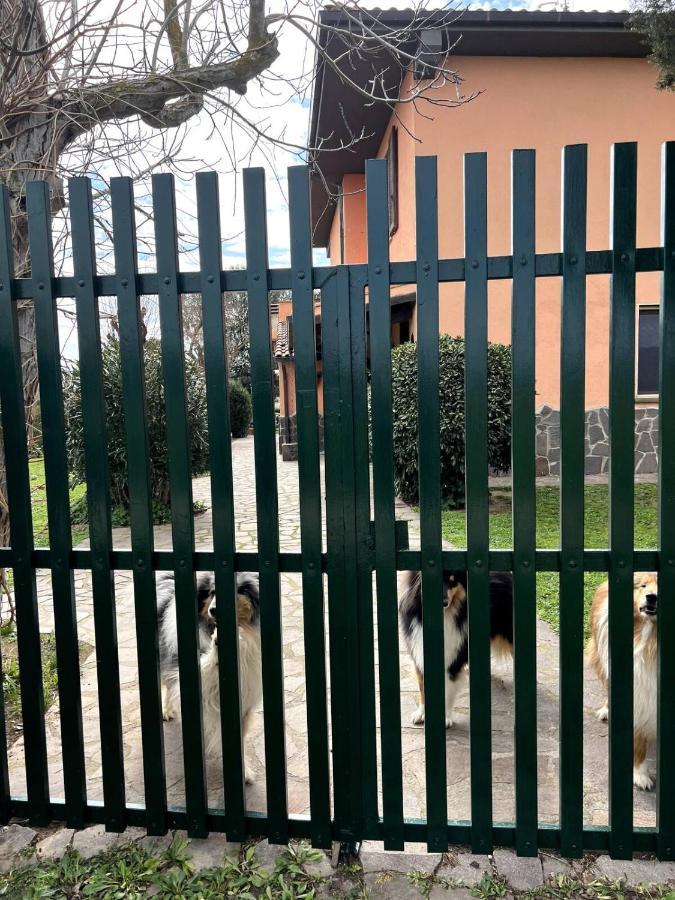 Appartamento Loc.Cioccaie Grosseto Esterno foto