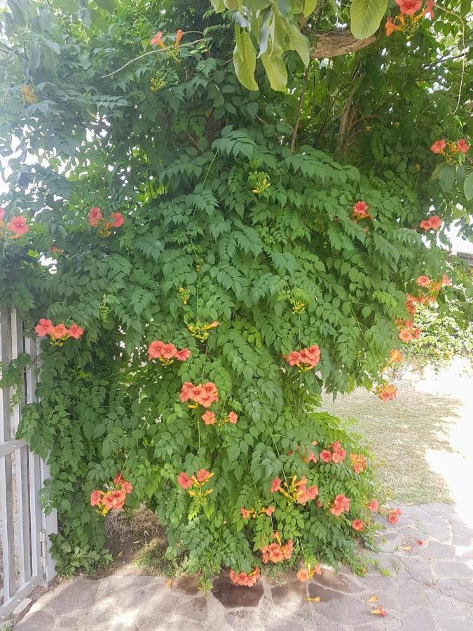 Appartamento Loc.Cioccaie Grosseto Esterno foto