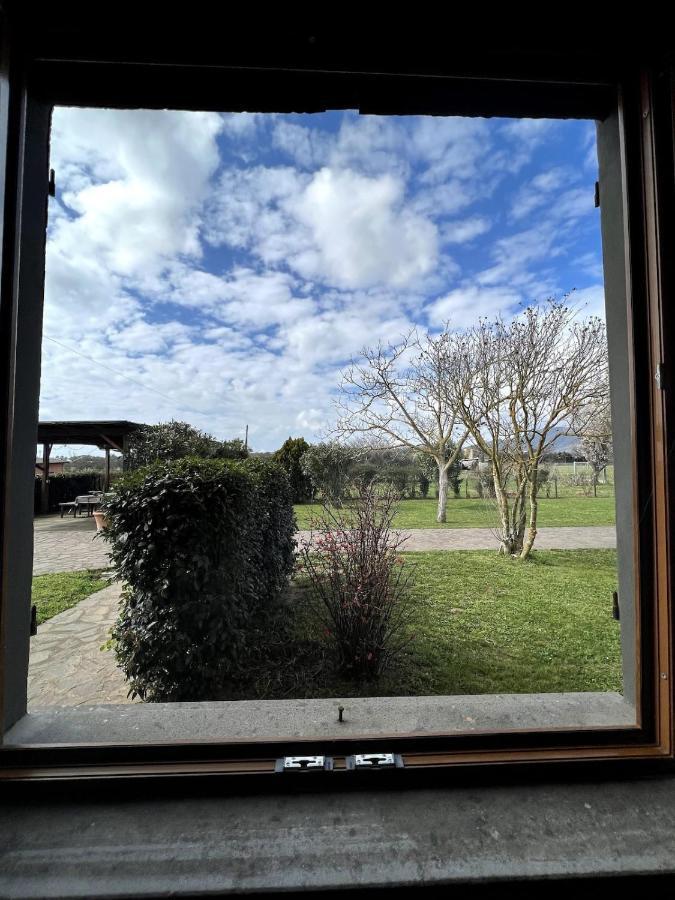 Appartamento Loc.Cioccaie Grosseto Esterno foto